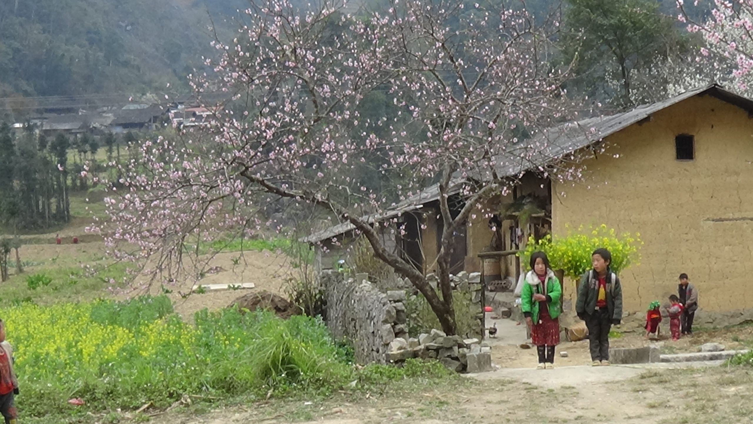 1 Day Sapa - MaTra - Ta Phin - Red Zao Village